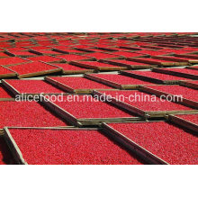 Hot Sale Health Food Chinese Goji Berry Dry Style Goji Berry